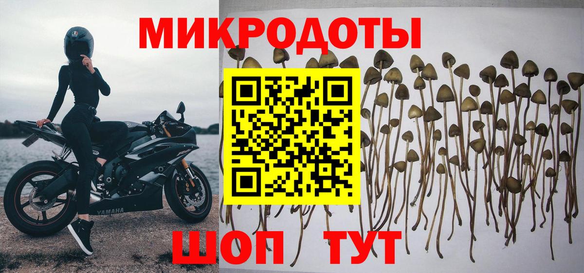 Североморск  Псилоцибиновые грибы Magic Shrooms  Вход с VPN 